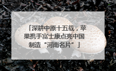 深耕中原十五载，苹果携手富士康点亮中国制造“河南名片”