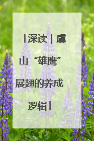 深读｜虞山“雄鹰”展翅的养成逻辑