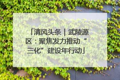 清风头条｜武陵源区：聚焦发力推动“三化”建设年行动