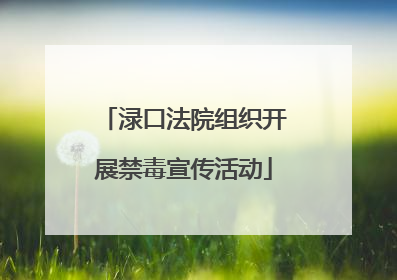 渌口法院组织开展禁毒宣传活动