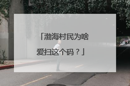 渤海村民为啥爱扫这个码？