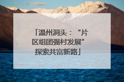 温州洞头：“片区组团强村发展”探索共富新路