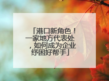 港口新角色！一家地方代表处，如何成为企业纾困好帮手