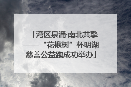 湾区泉涌·南北共擎——“花楸树”杯明湖慈善公益跑成功举办