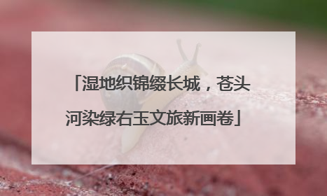 湿地织锦缀长城，苍头河染绿右玉文旅新画卷