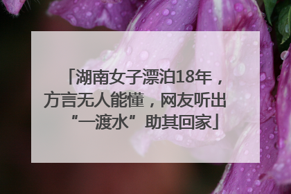 湖南女子漂泊18年，方言无人能懂，网友听出“一渡水”助其回家