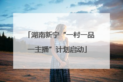 湖南新宁“一村一品一主播”计划启动