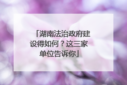 湖南法治政府建设得如何？这三家单位告诉你