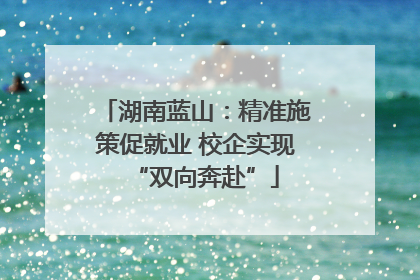 湖南蓝山：精准施策促就业 校企实现“双向奔赴”