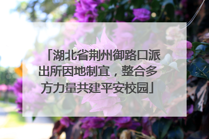 湖北省荆州御路口派出所因地制宜，整合多方力量共建平安校园