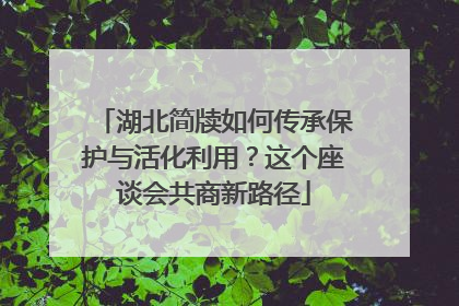 湖北简牍如何传承保护与活化利用？这个座谈会共商新路径