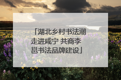 湖北乡村书法潮走进咸宁 共商李邕书法品牌建设