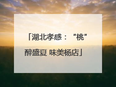湖北孝感：“桃”醉盛夏 味美杨店