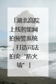 湖北高院上线智能网拍预警系统，打造司法拍卖“防火墙”
