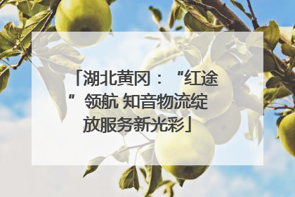 湖北黄冈：“红途”领航 知音物流绽放服务新光彩