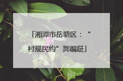 湘潭市岳塘区：“村规民约”舞蹁跹