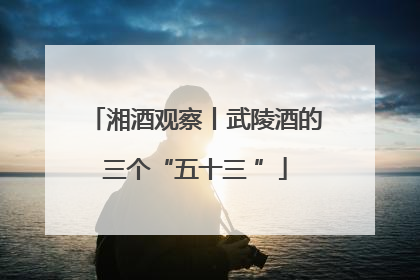 湘酒观察丨武陵酒的三个“五十三 ”