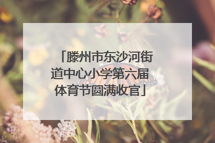 滕州市东沙河街道中心小学第六届体育节圆满收官