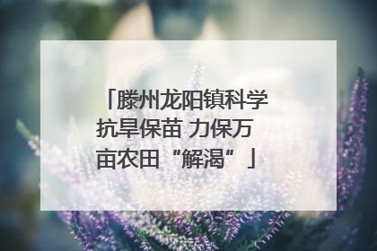 滕州龙阳镇科学抗旱保苗 力保万亩农田“解渴”