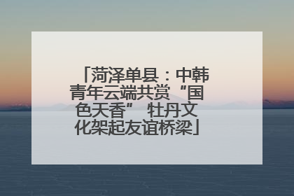 菏泽单县：中韩青年云端共赏“国色天香” 牡丹文化架起友谊桥梁