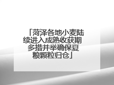 菏泽各地小麦陆续进入成熟收获期 多措并举确保夏粮颗粒归仓