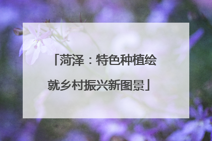菏泽：特色种植绘就乡村振兴新图景