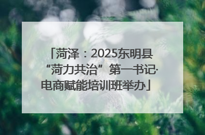 菏泽：2025东明县“菏力共治”第一书记·电商赋能培训班举办