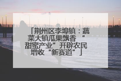荆州区李埠镇：蔬菜大镇瓜果飘香 “甜蜜产业”开辟农民增收“新赛道”