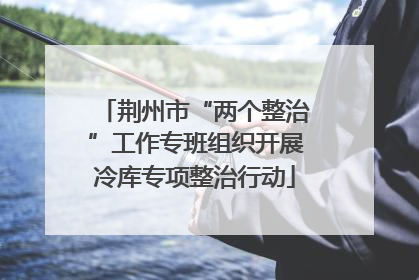 荆州市“两个整治”工作专班组织开展冷库专项整治行动