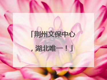 荆州文保中心，湖北唯一！
