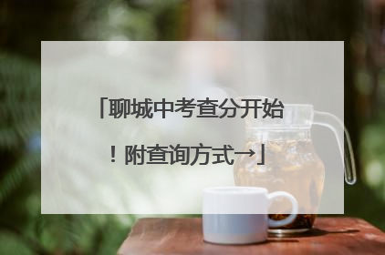 聊城中考查分开始！附查询方式→