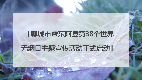 聊城市暨东阿县第38个世界无烟日主题宣传活动正式启动