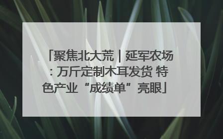 聚焦北大荒｜延军农场：万斤定制木耳发货 特色产业“成绩单”亮眼