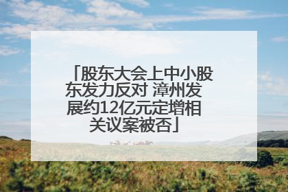 股东大会上中小股东发力反对 漳州发展约12亿元定增相关议案被否