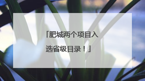 肥城两个项目入选省级目录！