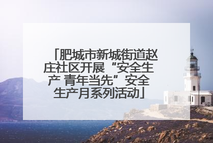 肥城市新城街道赵庄社区开展“安全生产 青年当先”安全生产月系列活动