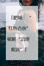 肥城：“红色合伙”破解“治理难题”