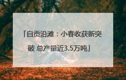 自贡沿滩：小春收获新突破 总产量近3.5万吨