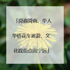 舜裔舜商、华人华侨花车巡游、文化踩街点亮宁远
