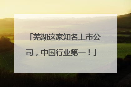 芜湖这家知名上市公司，中国行业第一！