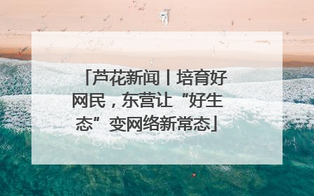 芦花新闻丨培育好网民，东营让“好生态”变网络新常态