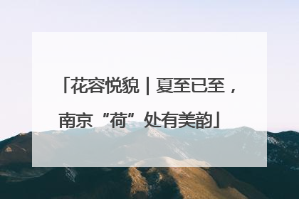 花容悦貌｜夏至已至，南京“荷”处有美韵