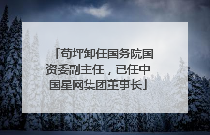 苟坪卸任国务院国资委副主任，已任中国星网集团董事长