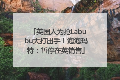 英国人为抢Labubu大打出手！泡泡玛特：暂停在英销售
