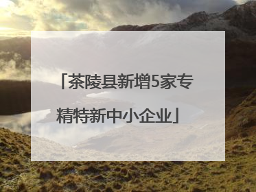 茶陵县新增5家专精特新中小企业