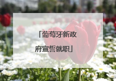 葡萄牙新政府宣誓就职