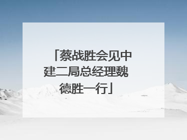 蔡战胜会见中建二局总经理魏德胜一行