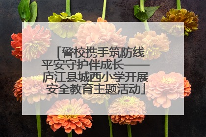 警校携手筑防线 平安守护伴成长——庐江县城西小学开展安全教育主题活动