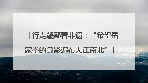行走赣鄱看非遗：“希望岳家拳的身影遍布大江南北”