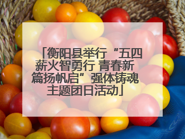 衡阳县举行“五四薪火智勇行 青春新篇扬帆启”强体铸魂主题团日活动